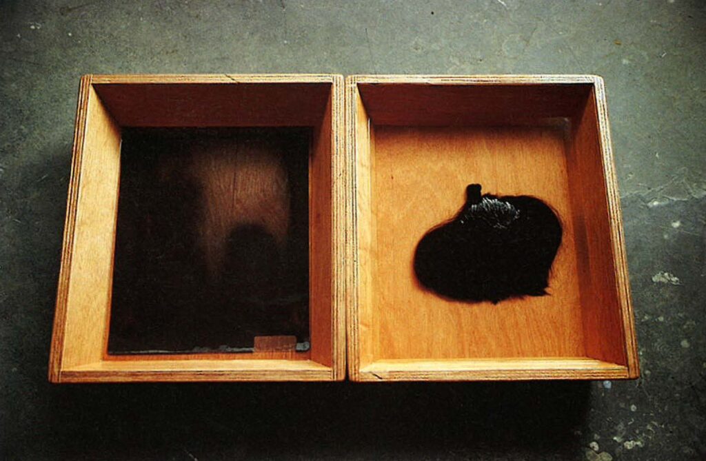 Created the artwork When An Object Gets Sick II.