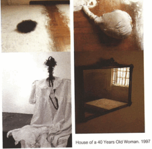 Created the installation House of a 40 Years Old Woman