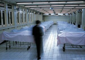 Created the artwork Reading for corpses