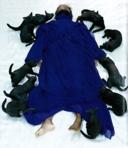 Created the artwork Wind Princess Black Cats