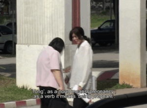 Created the single-channel video  The Nine-Day Pregnancy of a Single Middle-Aged Associate Professor