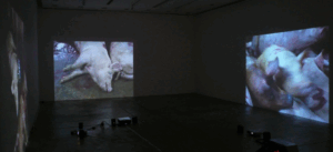 In a Blur of Desire, Solo exhibition at 100 Tonson Gallery, Bangkok.