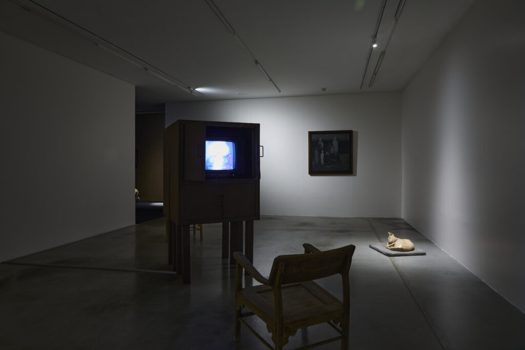 Created the video installation Niranam
