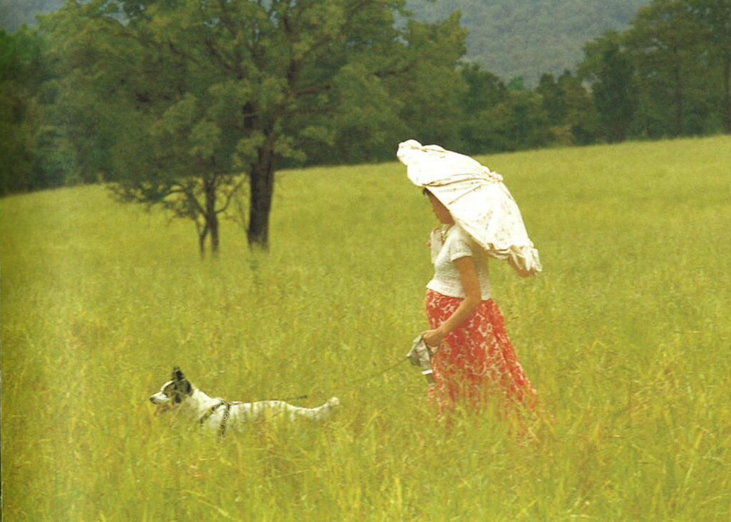 Created the video and photograph piece In reinterpreting old landscape we may have to endure repetitions of the same old karma