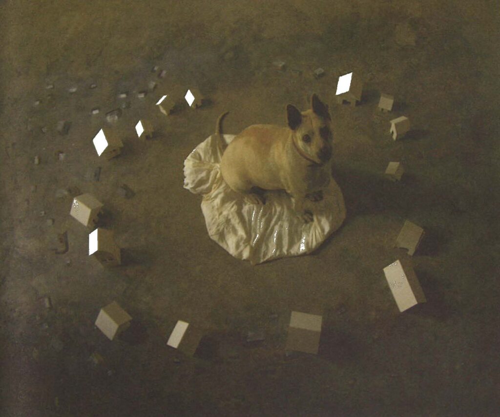 Created the video and photograph piece Some unexpected events sometimes bring momentary happiness