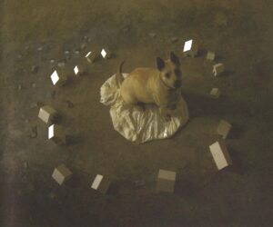 Created the video and photograph piece Some unexpected events sometimes bring momentary happiness