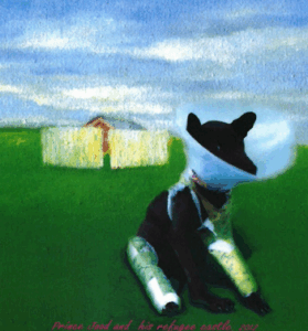 Created the artwork Prince Jood and his refugee castle