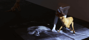 Created an artwork Some unexpected events sometimes bring momentary happiness.