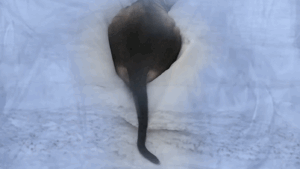 Participated in Disobedient Bodies: Reclaiming Her at Sundaram Tagore Gallery, Singapore