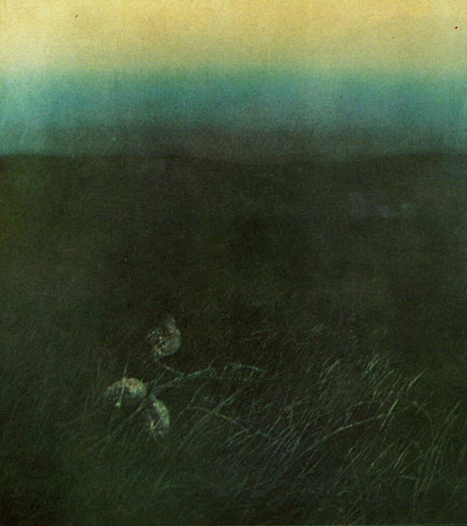 Created the artwork Dead Of Night