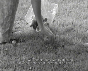 Created the video installation Faeces, Life, Love, Lust