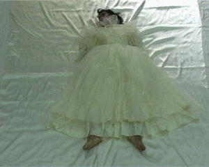 Created the video piece Wild Princess White Birds