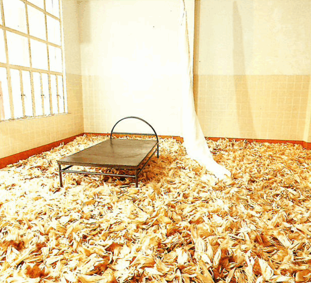 Created the room installation Has Girl Lost Her Memory? I