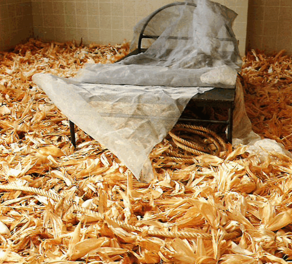 Created the room installation Has Girl Lost Her Memory? II
