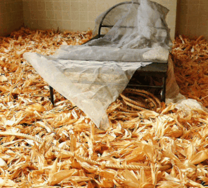 Created the room installation Has Girl Lost Her Memory? II