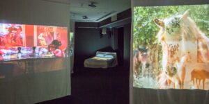 Created the 5-channel video installation Jaonua the Nothingness (King of Meat: The Nothingness)