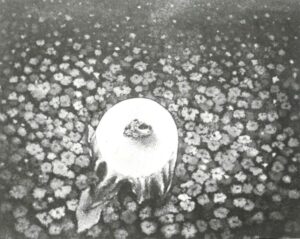 Created the artwork On The Desk