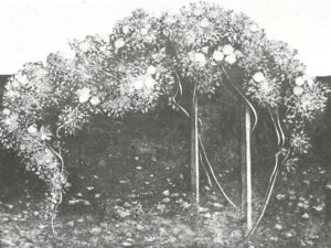 Created the artwork Romantic Scape