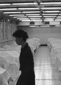 Why is it Poetry Rather Than Awareness?, exhibition catalogue