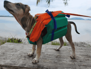 Chao Lay is prepping himself before a boat trip to see the eagle.