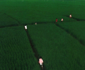 Created the photograph piece The treachery of the moon