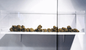 Created the artwork Some unexpected events sometimes bring momentary happiness