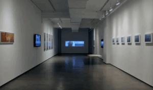 Niranam, Solo exhibition at Tyler Rollins Fine Art, New York, USA.