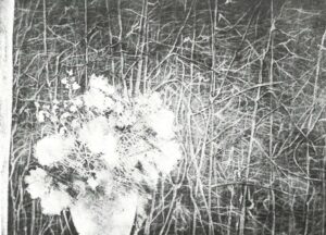 Created the artwork See Through The Window