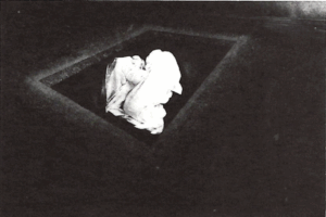 Created the artwork The Birth 1