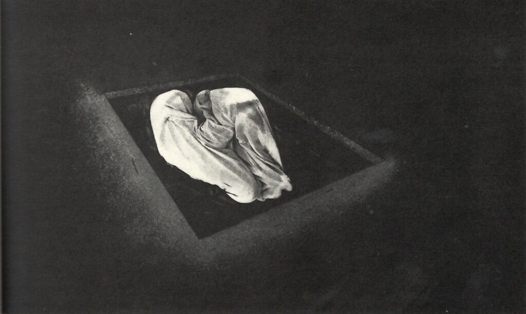 Created the artwork The Birth 2