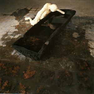 Created the artwork The Narcissus