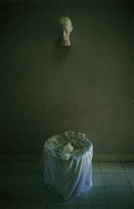 Created the artwork The Shadow In White