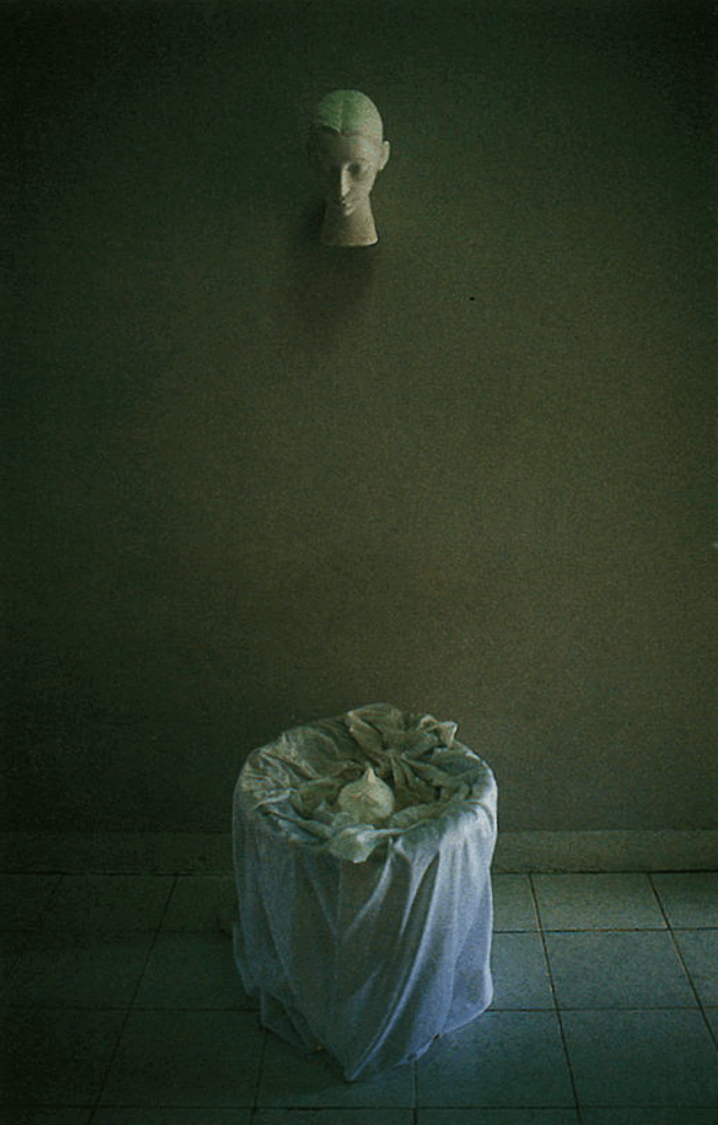 Created the artwork The Shadow In White